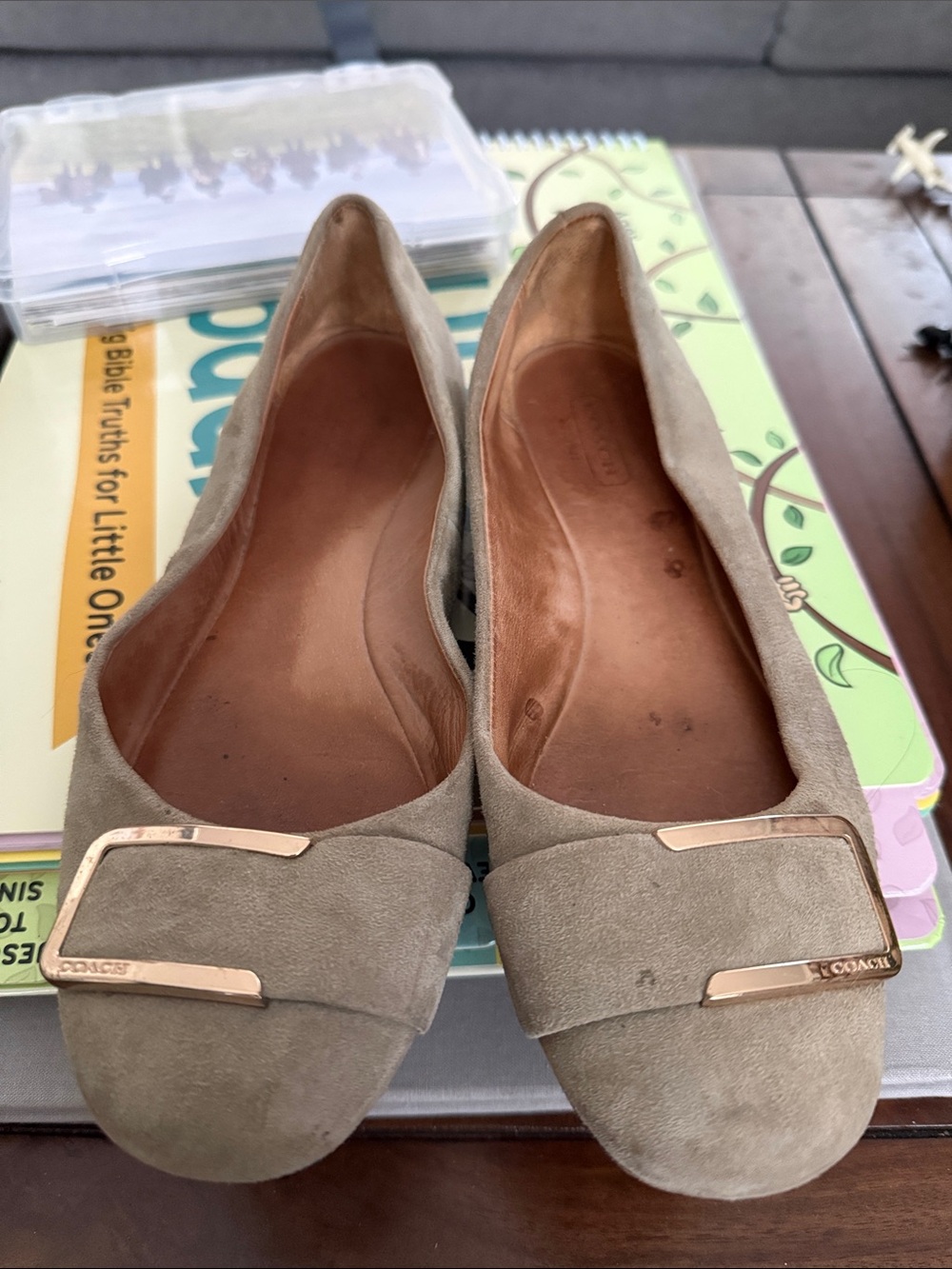 Coach Taupe Suede Ballet Flats with Gold Hardware